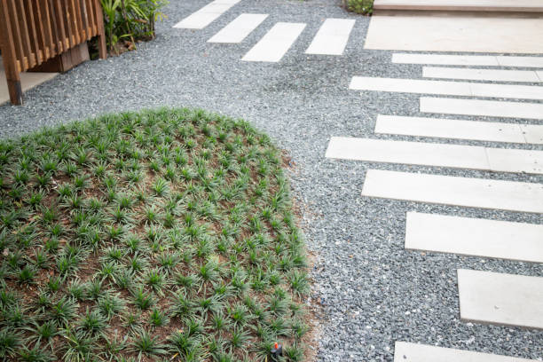 istock Home plants in wooden architecture 1457601114