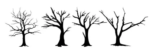 Vector illustration of Set of dead wild tree silhouette