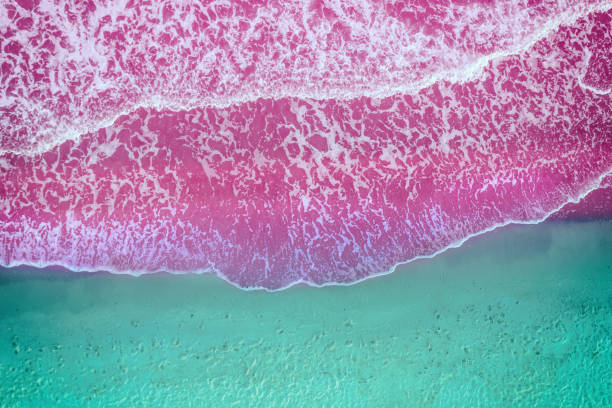 istock Waves roll on the sandy beach. View from above. Artistic blue pink colored 1457606146