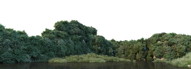 istock 3d render plants and trees along streams 1457607176
