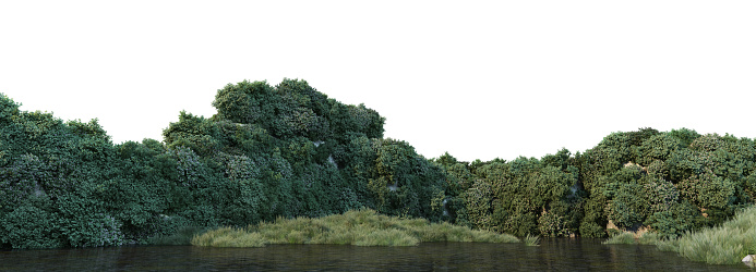 3d render plants and trees along streams