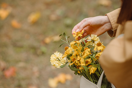 High angle of cop female touching yellow blooming flowers in bag in autumn park