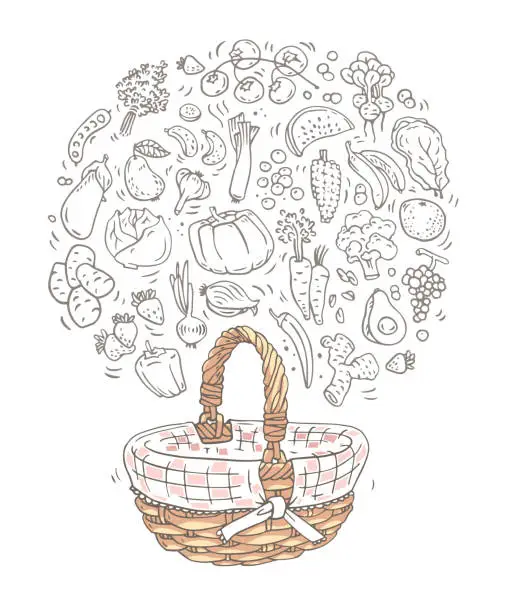 Vector illustration of Garden Basket With Fruit Sketch