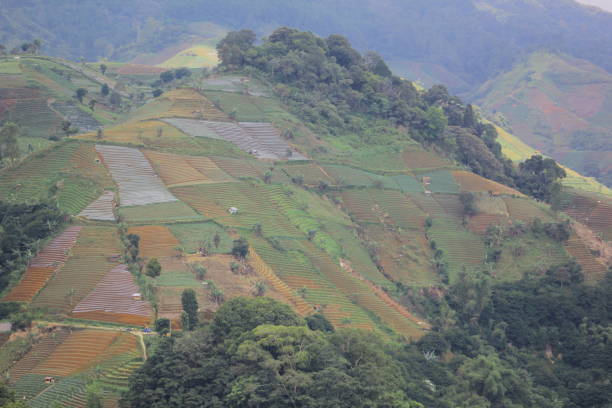 istock Panyaweuyan terraces 1457613390