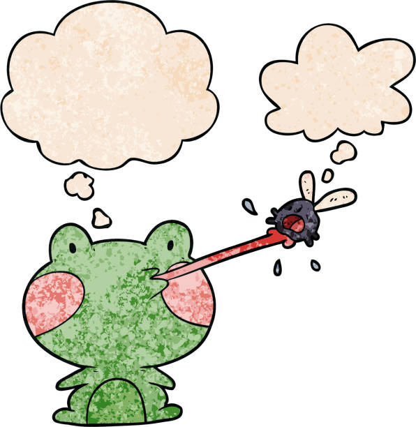 illustrations, cliparts, dessins animés et icônes de cartoon frog attraping fly avec thought bubble dans un style de texture grunge - frog animal tongue animal eating