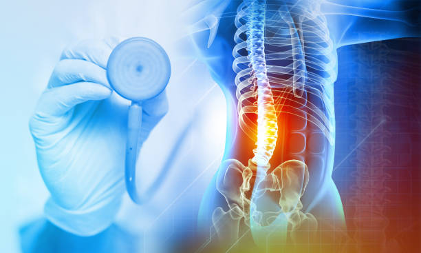 istock Orthopaedist check and analysis the back pain, highlighted in red, x-ray view. 3d illustration 1457622291