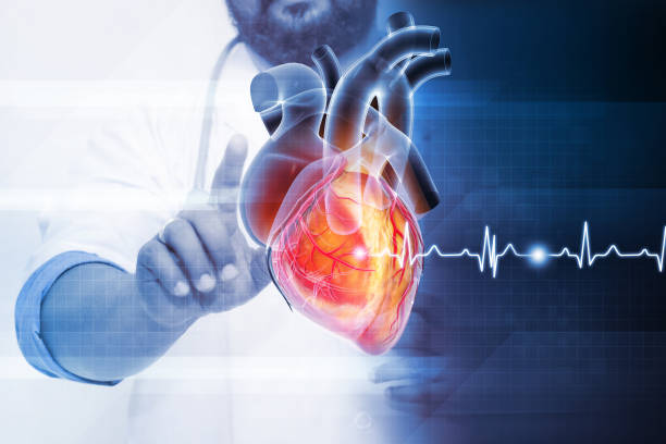 istock Heart attack and heart disease. 3d illustration 1457622472