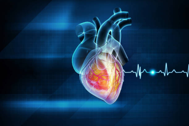 istock Heart attack and heart disease. 3d illustration 1457622587