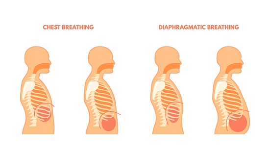 Diaphragmatic breathing. Pulmonary exercises chest and abdominal breath training, trachea respiration technique, inhale exhale medical infographic vector illustration of exercise technique breath