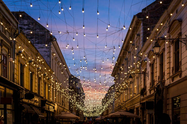 timisoara, rumunia - timisoara zdjęcia i obrazy z banku zdjęć