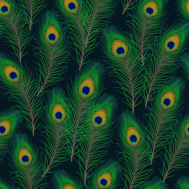 Seamless pattern with peacock feathers on a dark background. Fluffy green feather from peafowl tail. For prints, clothing, t shirt, surface design. Vintage style Peacock feather on black, white background. Fluffy green feather from peafowl tail. Design element for carnival, show etc peacock feather stock illustrations