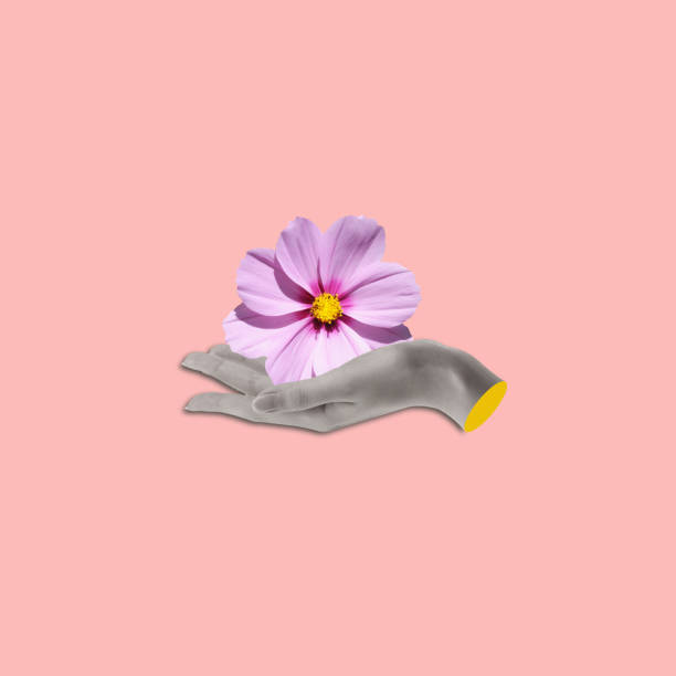 istock Creative collage of hand holding a flower. 1457640336