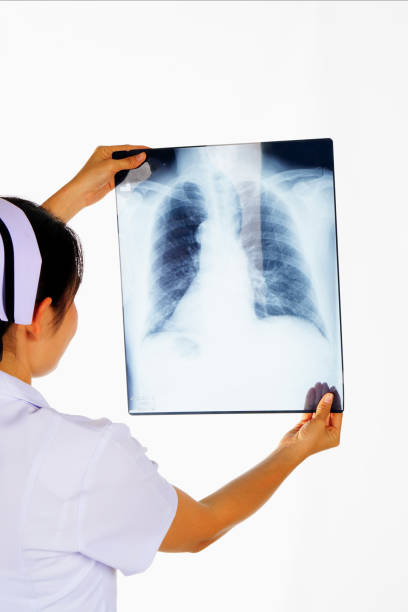 Human chest and spine X-ray images