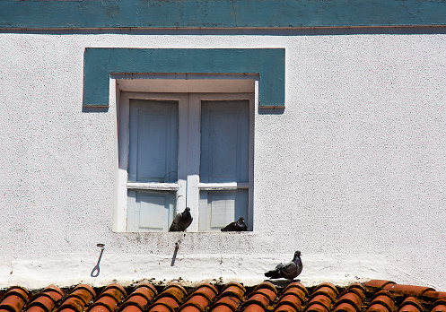 Stone house, white wall, window and pigeons on rooftop. Old town Betanzos, A Coruña province, Galicia, Spain.