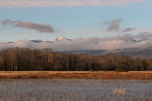 A mixed poplar and oak forest on a flooded karst field, with a mountain in the background