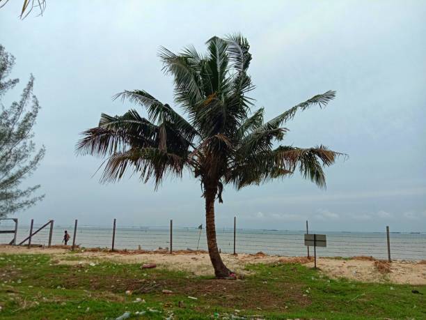 istock batakan beach, in balikpapan city 1457649590