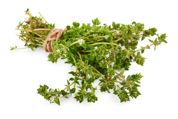 istock Bundle of aromatic spicy thyme herb with flowers. Organic spices 1457654620