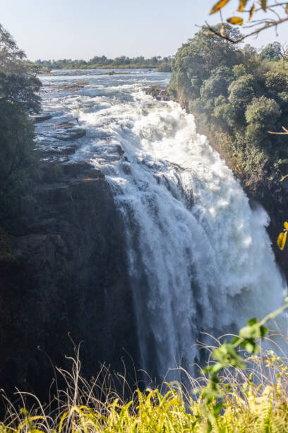 istock Evening at Victoria Falls 1457656971