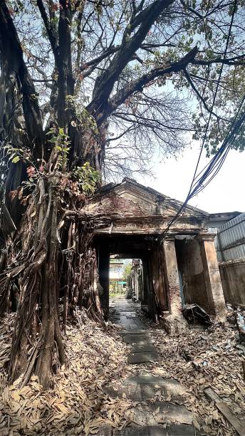 istock Abandoned derelict building surrounding with big tree. 1457658803