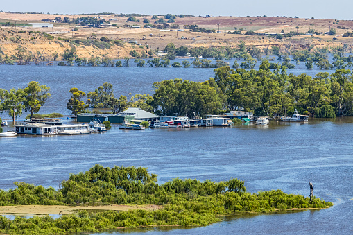 Bolto Underwater: Looking across the River Murray from Mannum  in South Australia to flooded shacks and houses at Bolto. The levee behind the shacks has been breached inundating the floodplain and agricultural land back to the rolling hills more than a kilometre away. In the foreground some remnant high ground forms an island in the fast-flowing river.  Houseboats and other recreational vessels are moored near the submerged ferry terminal.