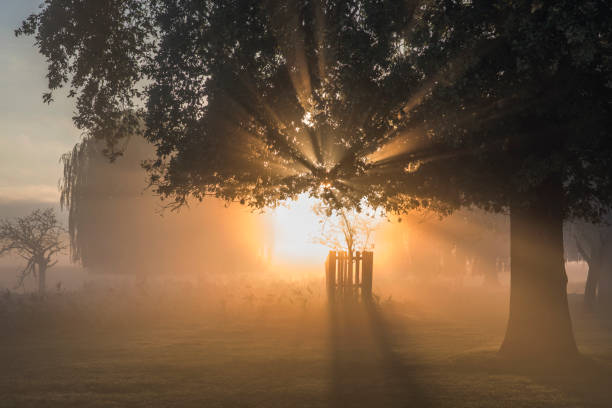 Wonders of nature and the power of the rising sun