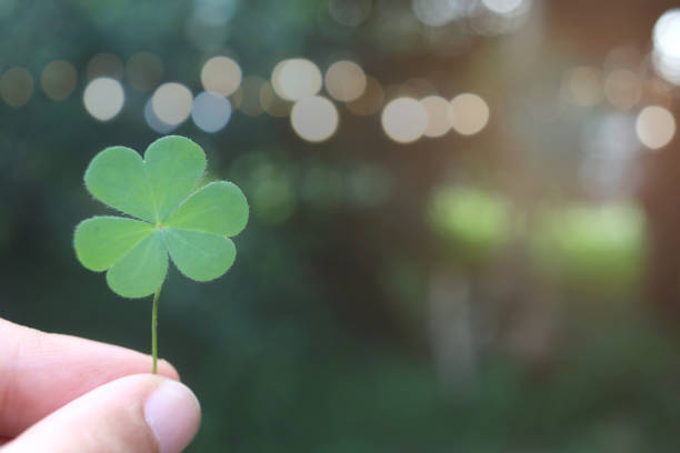 istock Fresh clover leaf, three-leaved shamrock, on hand with blurred green background. Happy St. Patrick's Day. Selective focus, clover leaves is symbolic of fourth luck. 1457663058