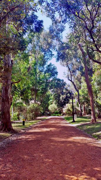 istock The Buenos Aires Botanical Garden (Spanish: Jardín Botánico Carlos Thays), Argentina. 1457663277