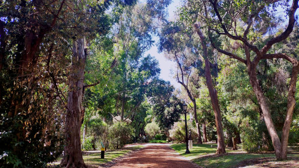 istock The Buenos Aires Botanical Garden (Spanish: Jardín Botánico Carlos Thays), Argentina. 1457663283