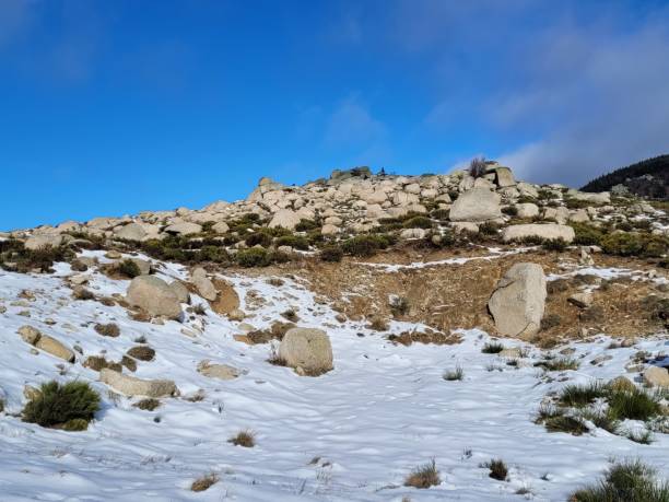 istock Mother nature and her white coat 1457663617