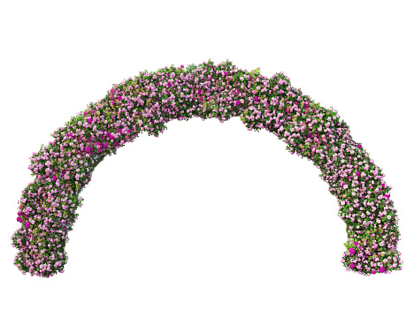 3D render flower garden arches on white background