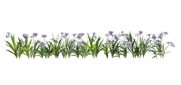 istock 3d render Shrubs and flower on a white background 1457663988