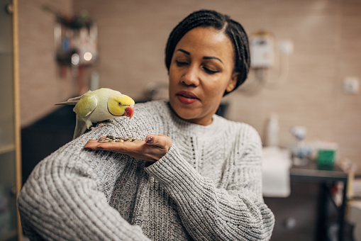 A woman with parrot