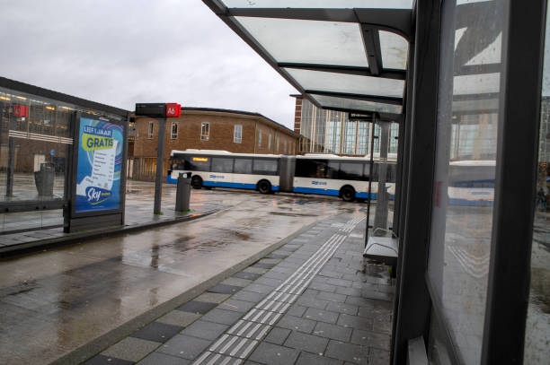 city bus stop. glass shelter with integrated wooden bench. only the roof and the back wall. on the street by the sidewalk in the city. elegant arch, station, platform, lawn, grass, tactile, alopecuroides, miscanthus, sinensis