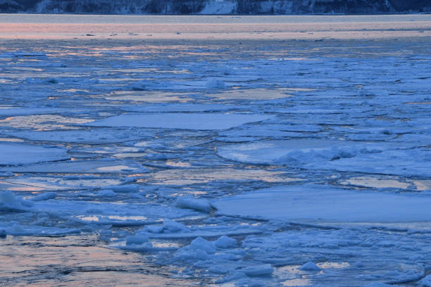 istock Sunset cruising on Floating ices 1457669705