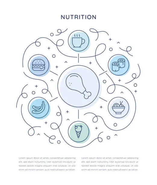Vector illustration of Nutrition Six Steps Infographic Template