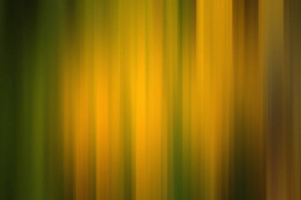 istock Autumn color abstract background 1457672592