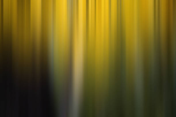 istock Autumn color abstract background 1457672594