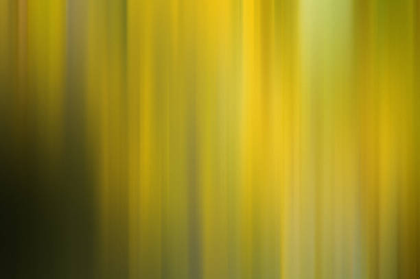 istock Autumn color abstract background 1457672597