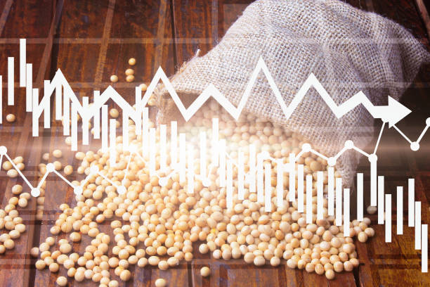 PIB Agropecuário no Primeiro Trimestre de 2025 sobre e Aumenta Participação do Setor no PIB Brasil. Imagem: Istockphoto.com PIB Agropecuário no Primeiro Trimestre de 2025 sobre e Aumenta Participação do Setor no PIB Brasil. Imagem: Istockphoto.com