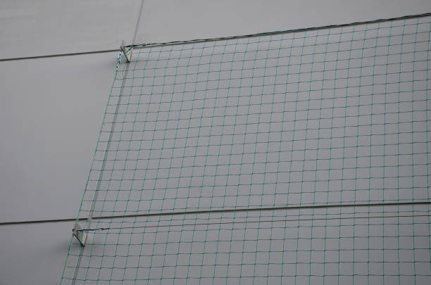metal trellises made of interconnected stainless steel cables attached to the wall of house grow and wrap vine. column tunnel. detail of mesh clamps, grip, holder, twisted, creeper, fallen tree, grip, mulching, interconnected, tensioner, vitis vinifera, sinensis enrejados de metal hechos de cables de acero inoxidable interconectados unidos a la pared de la vid de cultivo y envoltura de la casa. túnel de columna. detalle de abrazaderas de malla, empuñadura, soporte, torcida, enredadera, árbol caído