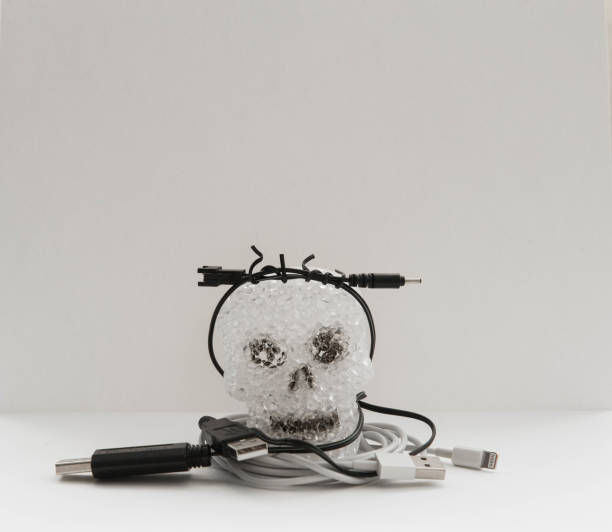 istock Node of black and white usb cables on a scull, white background 1457691365