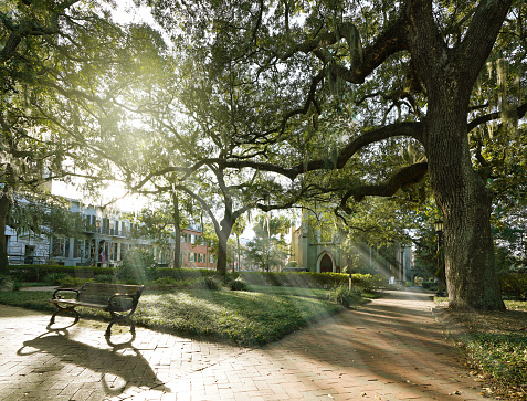 Quiet city park in the Savannah historic district in the morning
