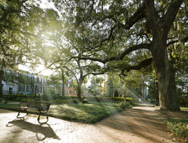 Quiet city park in the Savannah historic district in the morning stock photo