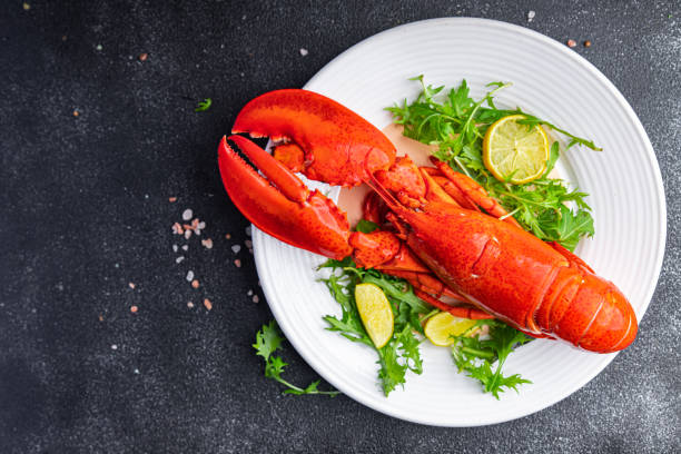 lobster seafood ready to eat expensive product healthy meal food snack on the table copy space food background rustic top view lobster seafood ready to eat expensive product healthy meal food snack on the table copy space food bivalve photos stock pictures, royalty-free photos & images