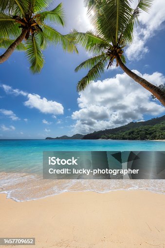 istock Beautiful tropical beach with palms and turquoise sea in Paradise island. 1457709652