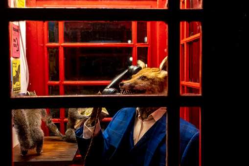 November, 2022. A telephone booth with a novel fox holding a phone in the interior, near the British Museum, London, England, UK.