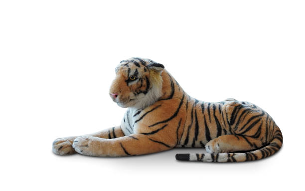 istock side view orange and black and white tiger lying on the white background, animal, cute, object, decor, fierce, copy space 1457714077