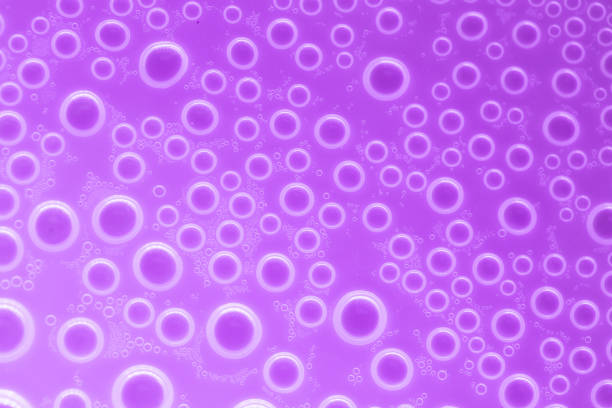 Bubbles purple background.Macro round bubbles texture in lilac tones.beautiful background with circles.Purple pattern with white circles.macro Bubbles set.