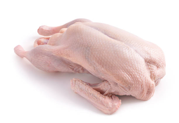 istock Raw and uncooked whole duck isolated on white background 1457716016