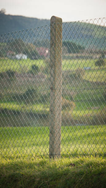 Concrete picket in wire fence of a field